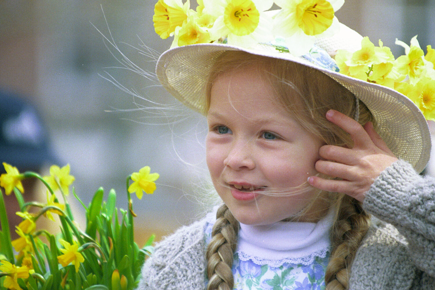 A look back The Daffodil Festival through the years Inquirer and Mirror